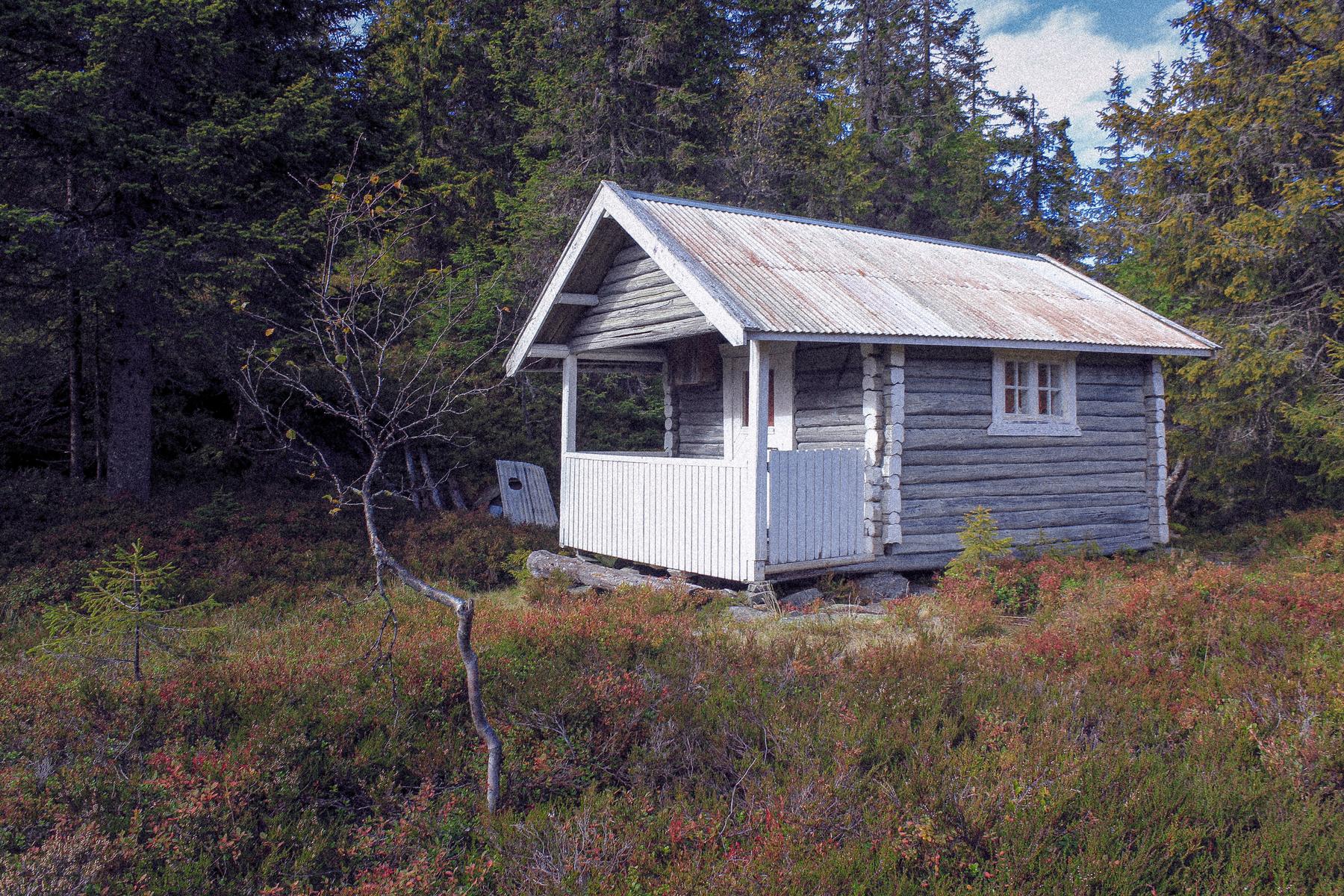 File:Vidunderlig enkel hytte på Totenåsen i Oppland.JPG - a small cabin in a field of tall trees