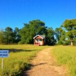 A serene landscape featuring a tiny house nestled among trees