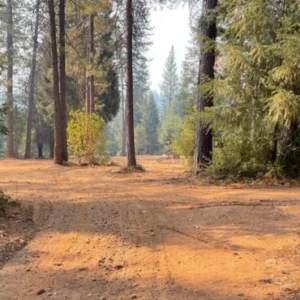 56.61 Acres — Nevada City, CA